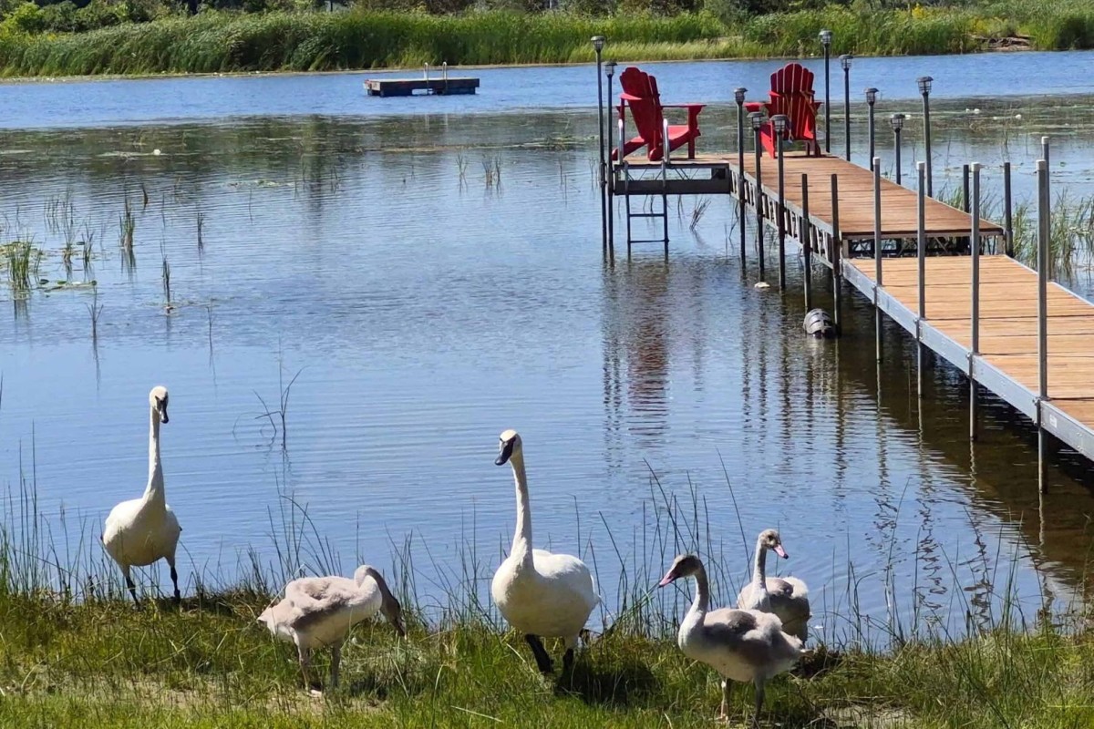Short boat ride to the new deep water swim platform in front